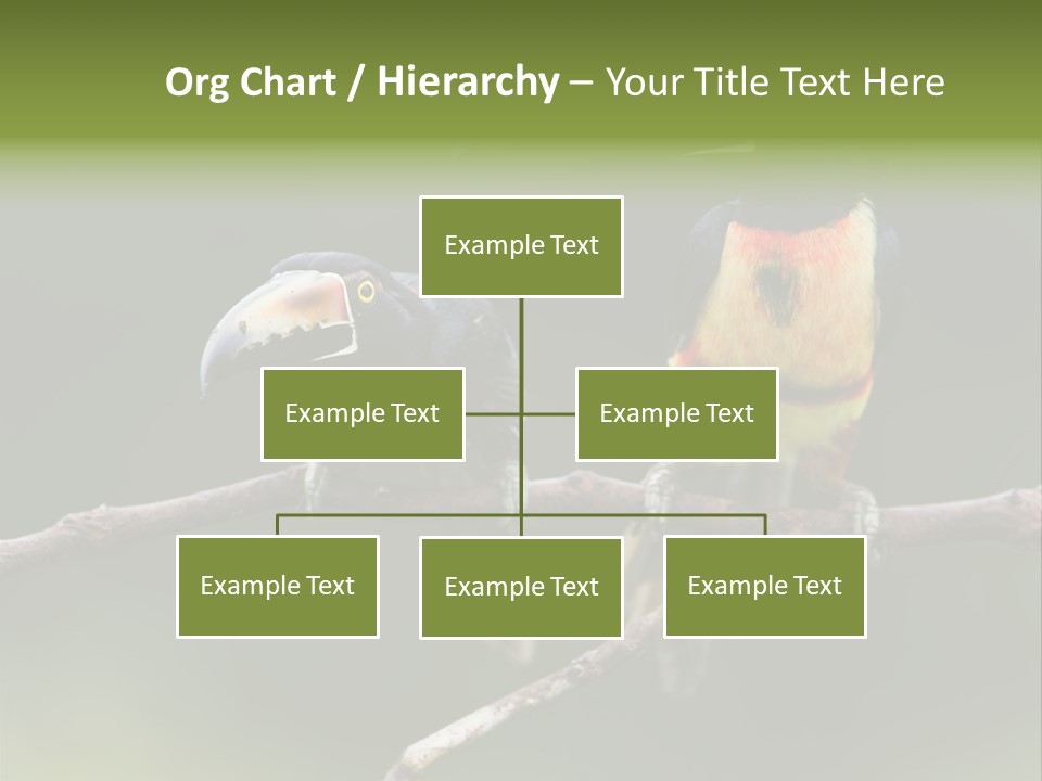 A Couple Of Birds Sitting On Top Of A Tree Branch PowerPoint Template