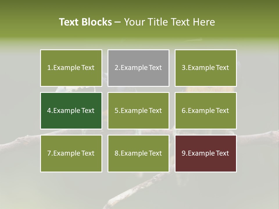 A Couple Of Birds Sitting On Top Of A Tree Branch PowerPoint Template