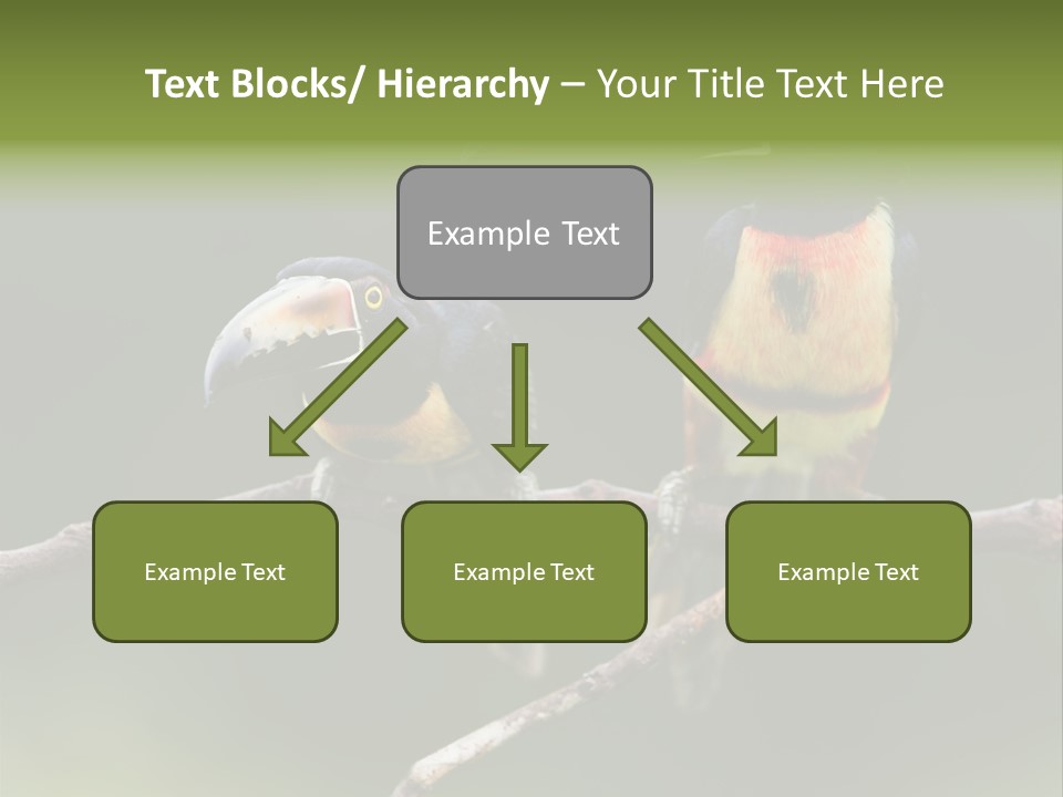 A Couple Of Birds Sitting On Top Of A Tree Branch PowerPoint Template