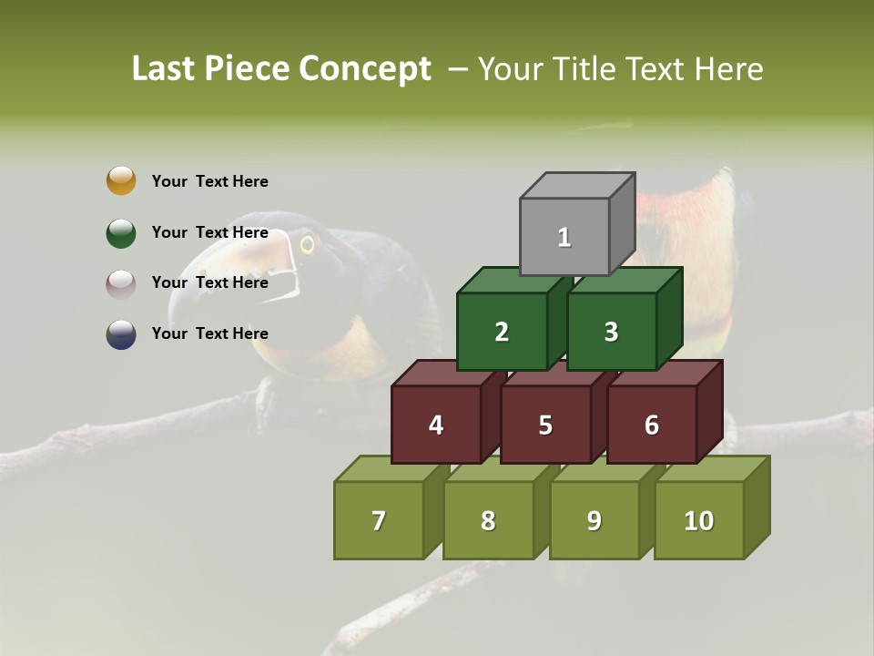 A Couple Of Birds Sitting On Top Of A Tree Branch PowerPoint Template