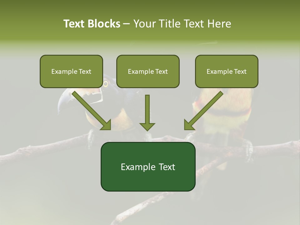 A Couple Of Birds Sitting On Top Of A Tree Branch PowerPoint Template