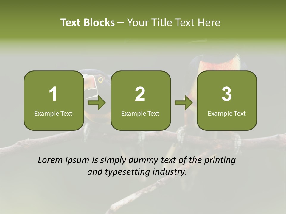 A Couple Of Birds Sitting On Top Of A Tree Branch PowerPoint Template