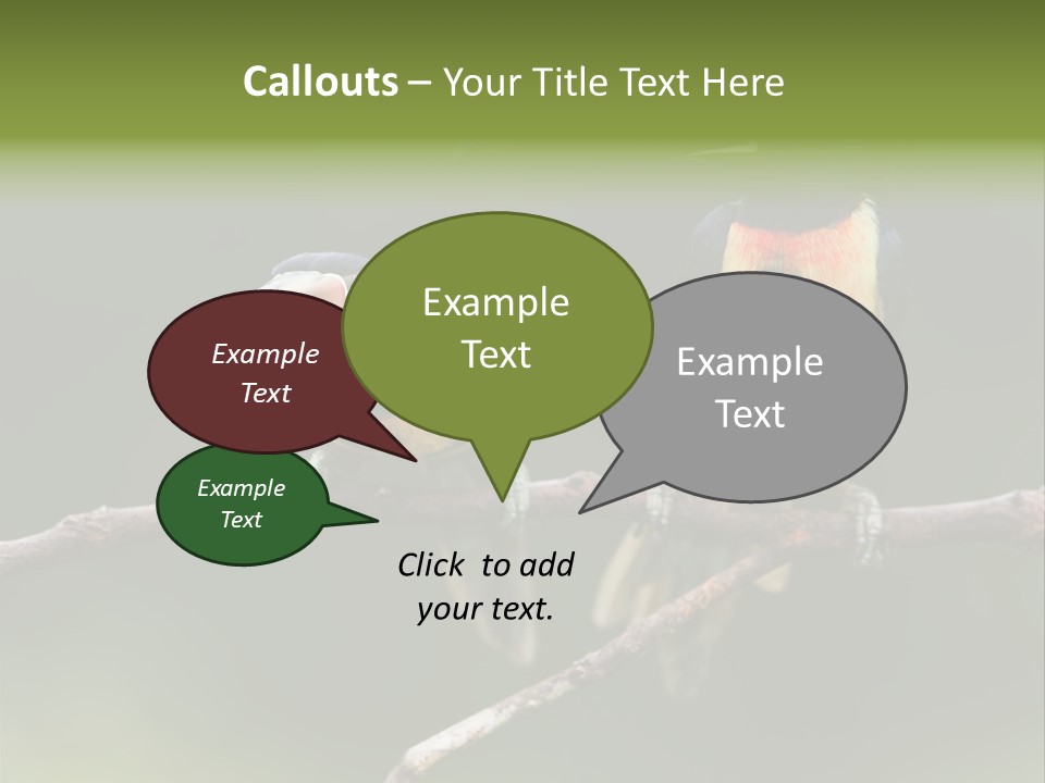 A Couple Of Birds Sitting On Top Of A Tree Branch PowerPoint Template