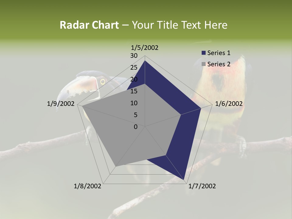 A Couple Of Birds Sitting On Top Of A Tree Branch PowerPoint Template
