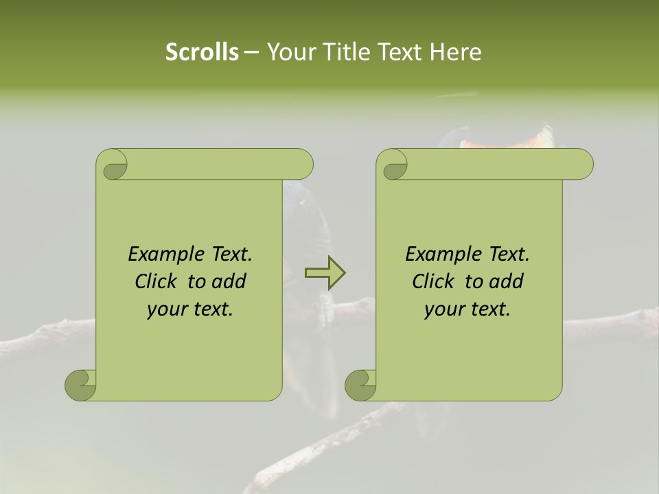 A Couple Of Birds Sitting On Top Of A Tree Branch PowerPoint Template