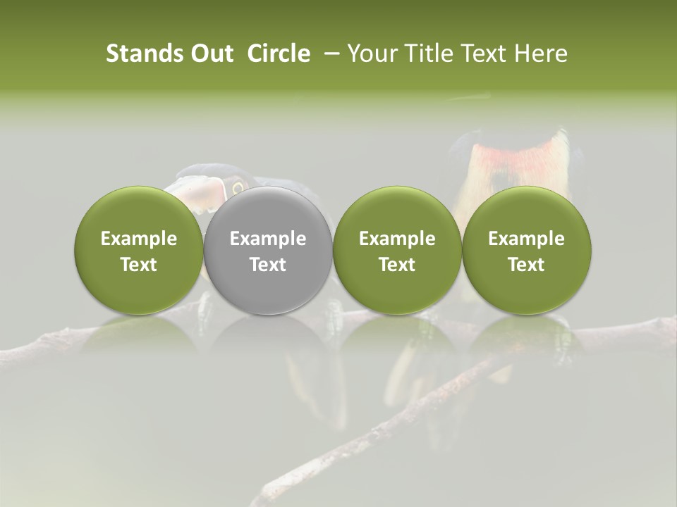 A Couple Of Birds Sitting On Top Of A Tree Branch PowerPoint Template