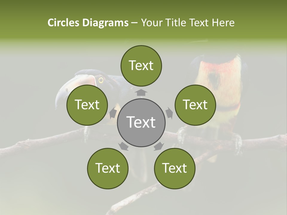 A Couple Of Birds Sitting On Top Of A Tree Branch PowerPoint Template