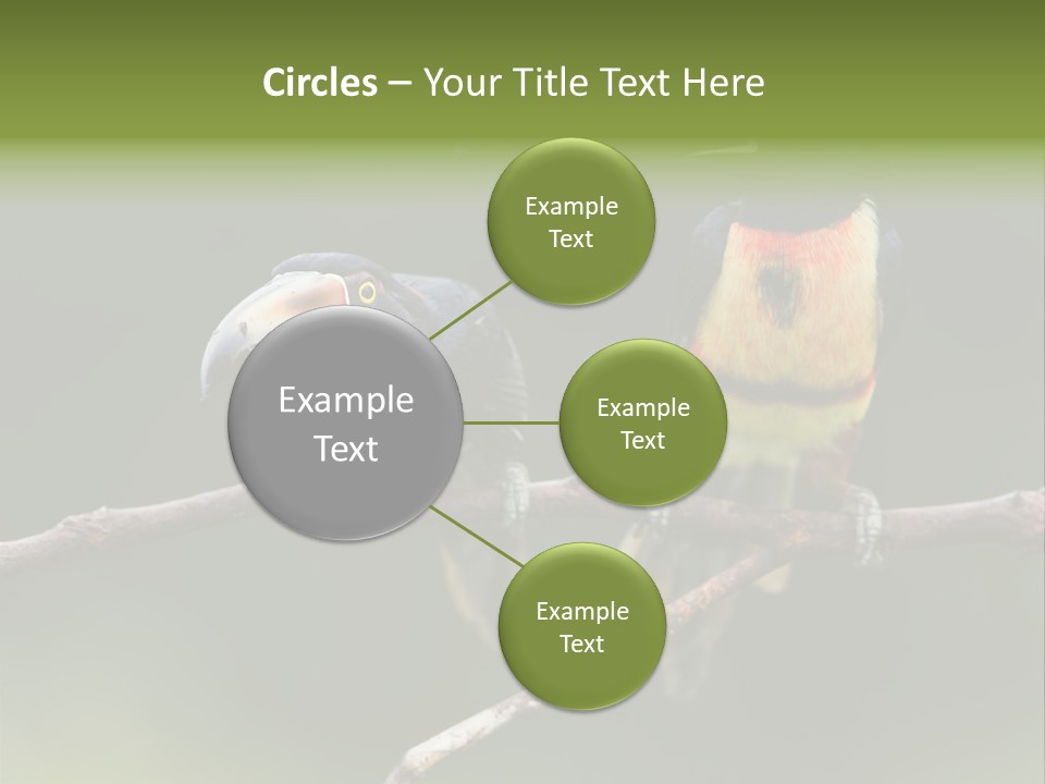 A Couple Of Birds Sitting On Top Of A Tree Branch PowerPoint Template