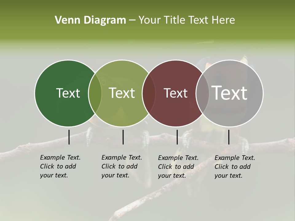A Couple Of Birds Sitting On Top Of A Tree Branch PowerPoint Template
