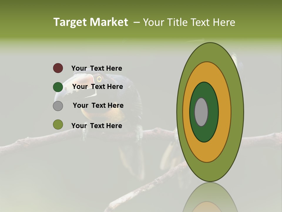 A Couple Of Birds Sitting On Top Of A Tree Branch PowerPoint Template