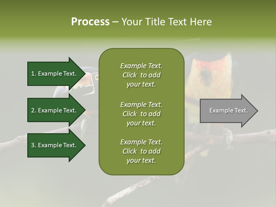 A Couple Of Birds Sitting On Top Of A Tree Branch PowerPoint Template