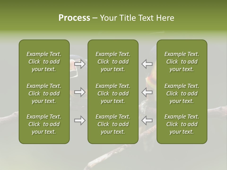 A Couple Of Birds Sitting On Top Of A Tree Branch PowerPoint Template