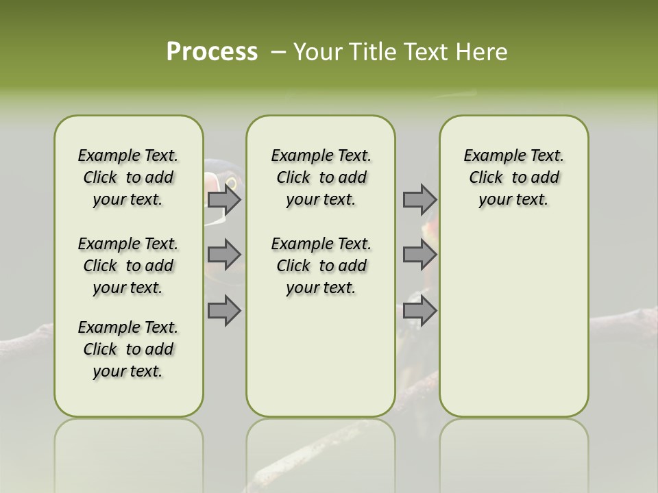 A Couple Of Birds Sitting On Top Of A Tree Branch PowerPoint Template