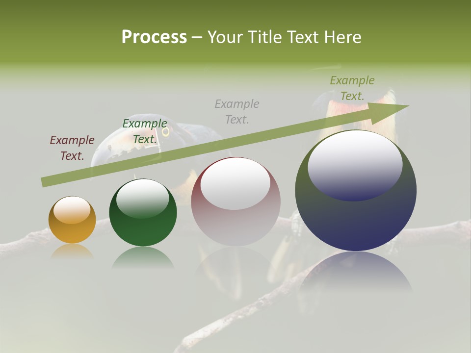 A Couple Of Birds Sitting On Top Of A Tree Branch PowerPoint Template