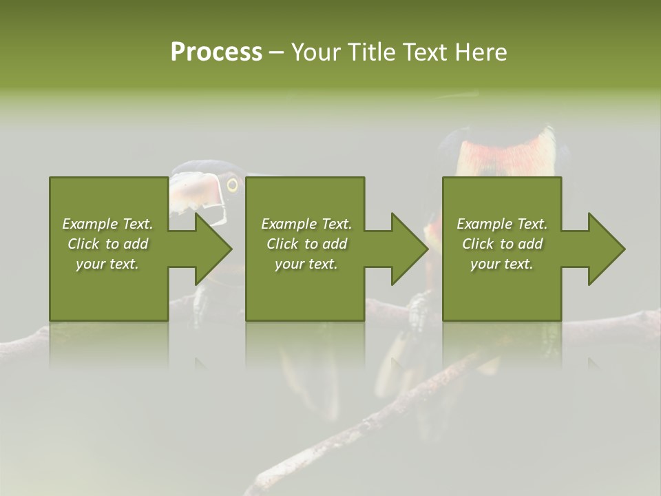 A Couple Of Birds Sitting On Top Of A Tree Branch PowerPoint Template