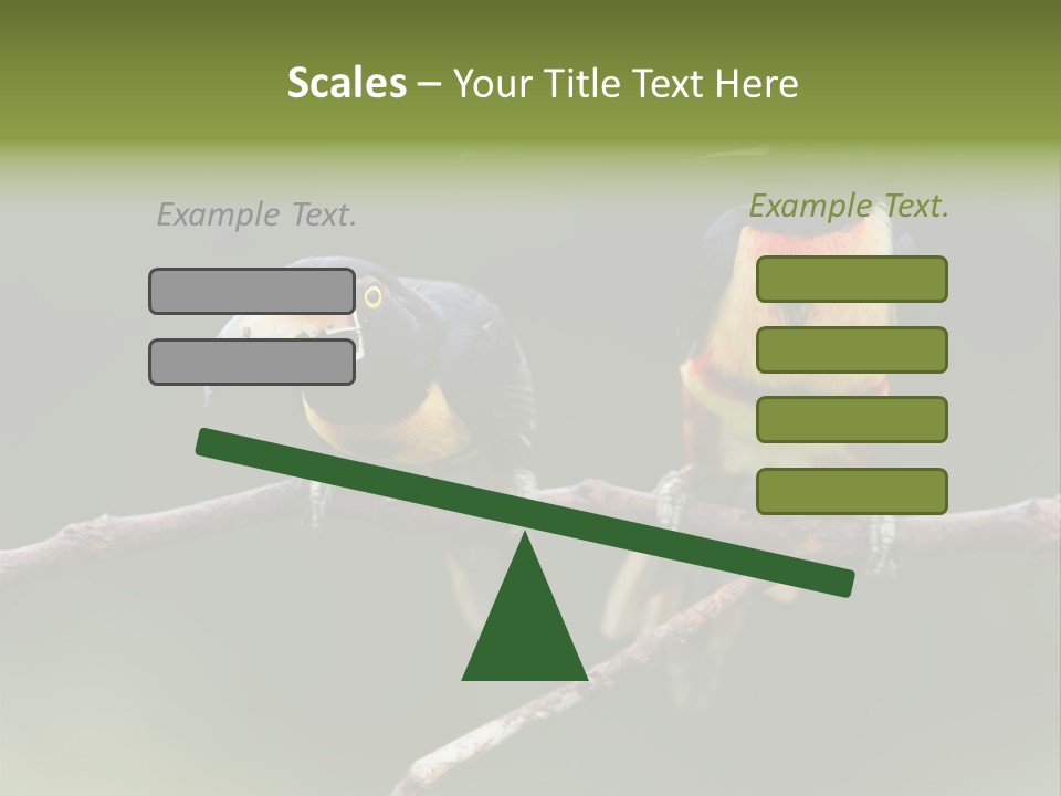 A Couple Of Birds Sitting On Top Of A Tree Branch PowerPoint Template