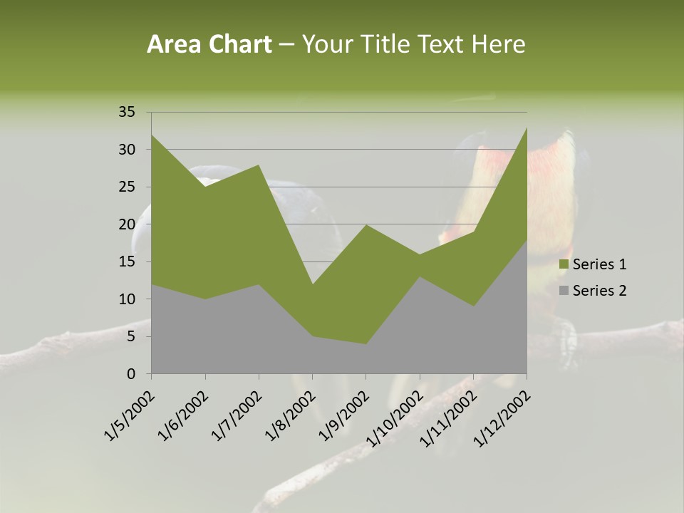A Couple Of Birds Sitting On Top Of A Tree Branch PowerPoint Template