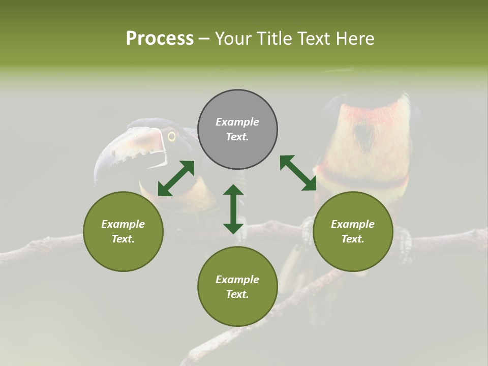 A Couple Of Birds Sitting On Top Of A Tree Branch PowerPoint Template
