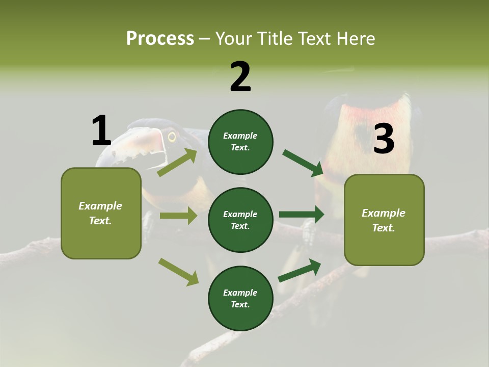 A Couple Of Birds Sitting On Top Of A Tree Branch PowerPoint Template