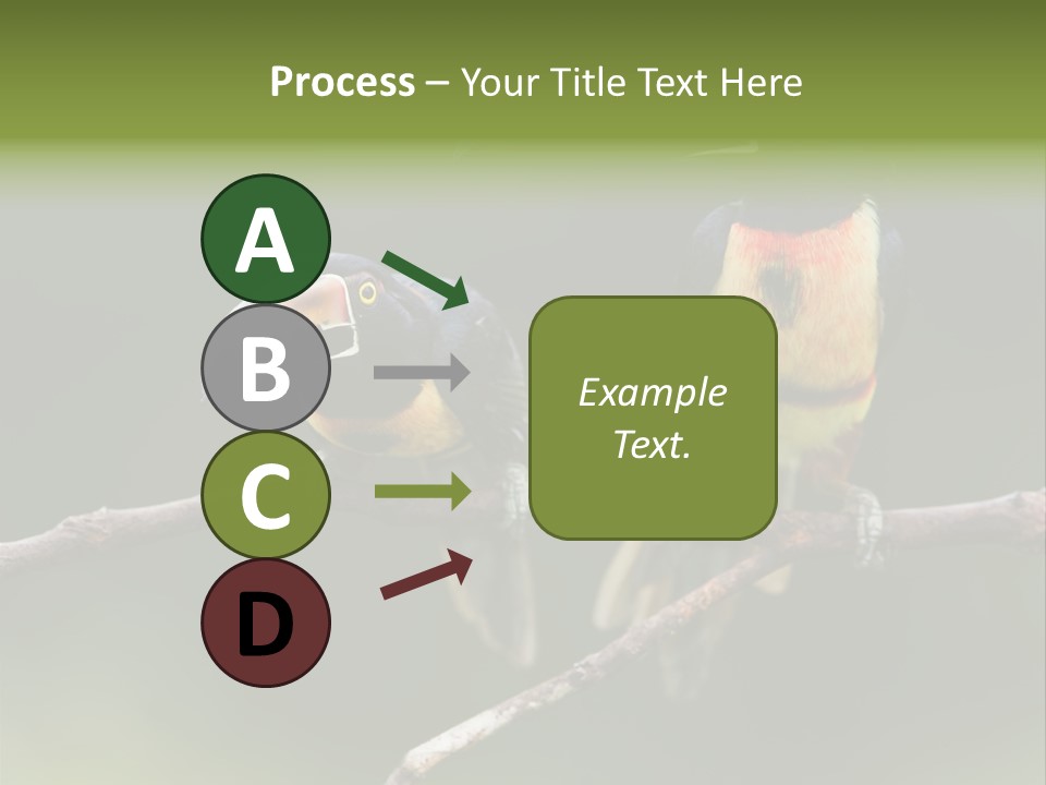 A Couple Of Birds Sitting On Top Of A Tree Branch PowerPoint Template