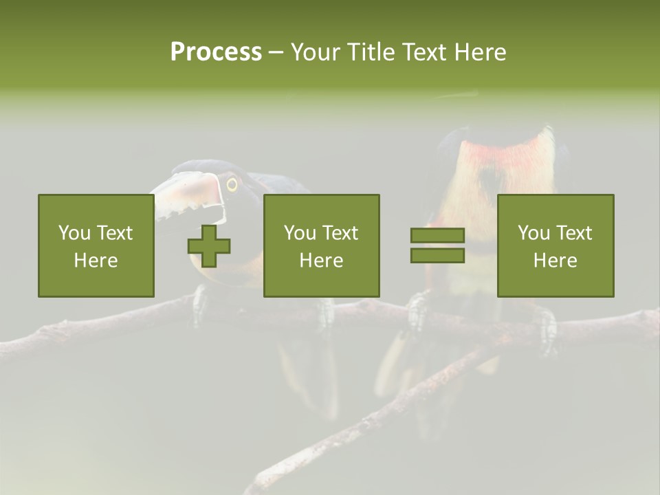 A Couple Of Birds Sitting On Top Of A Tree Branch PowerPoint Template