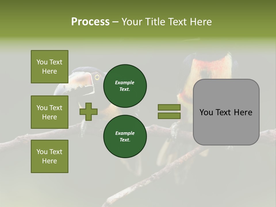 A Couple Of Birds Sitting On Top Of A Tree Branch PowerPoint Template