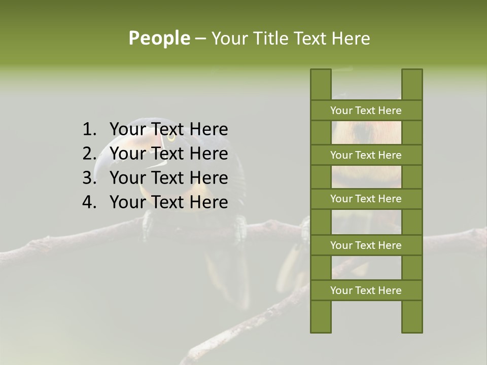 A Couple Of Birds Sitting On Top Of A Tree Branch PowerPoint Template