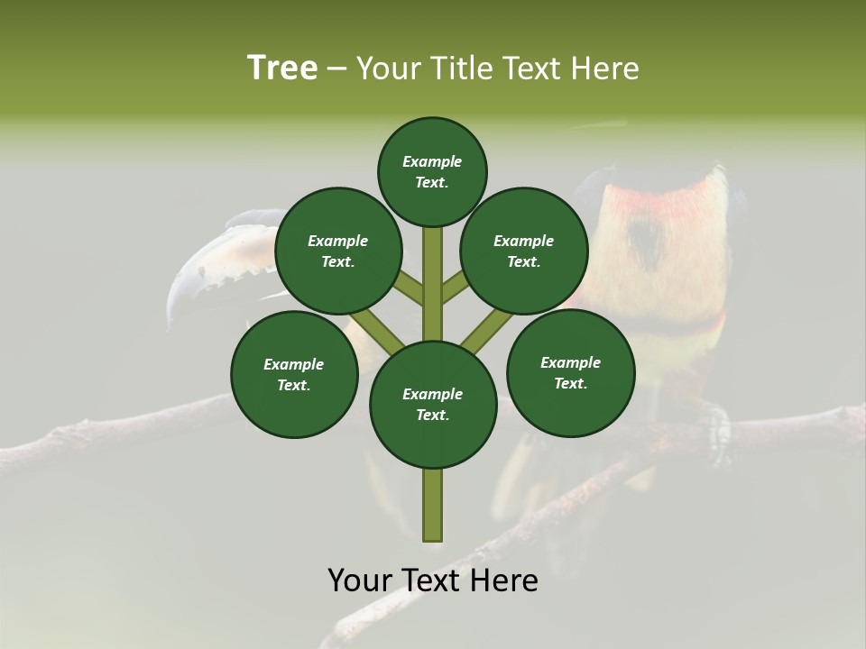 A Couple Of Birds Sitting On Top Of A Tree Branch PowerPoint Template