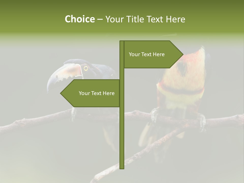 A Couple Of Birds Sitting On Top Of A Tree Branch PowerPoint Template