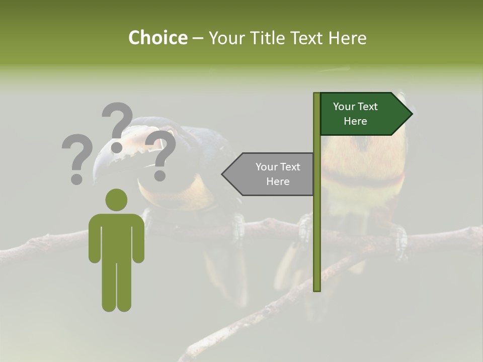 A Couple Of Birds Sitting On Top Of A Tree Branch PowerPoint Template