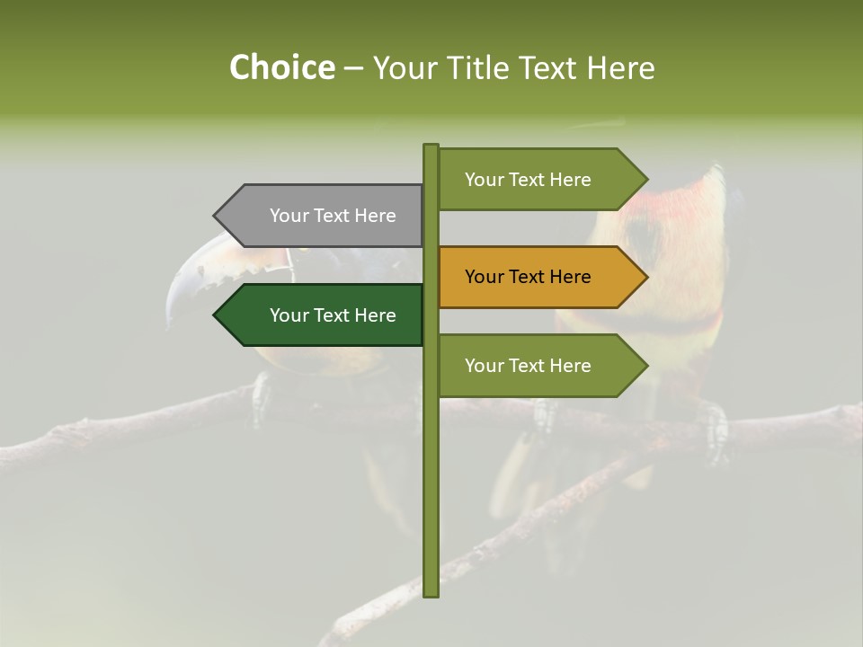 A Couple Of Birds Sitting On Top Of A Tree Branch PowerPoint Template