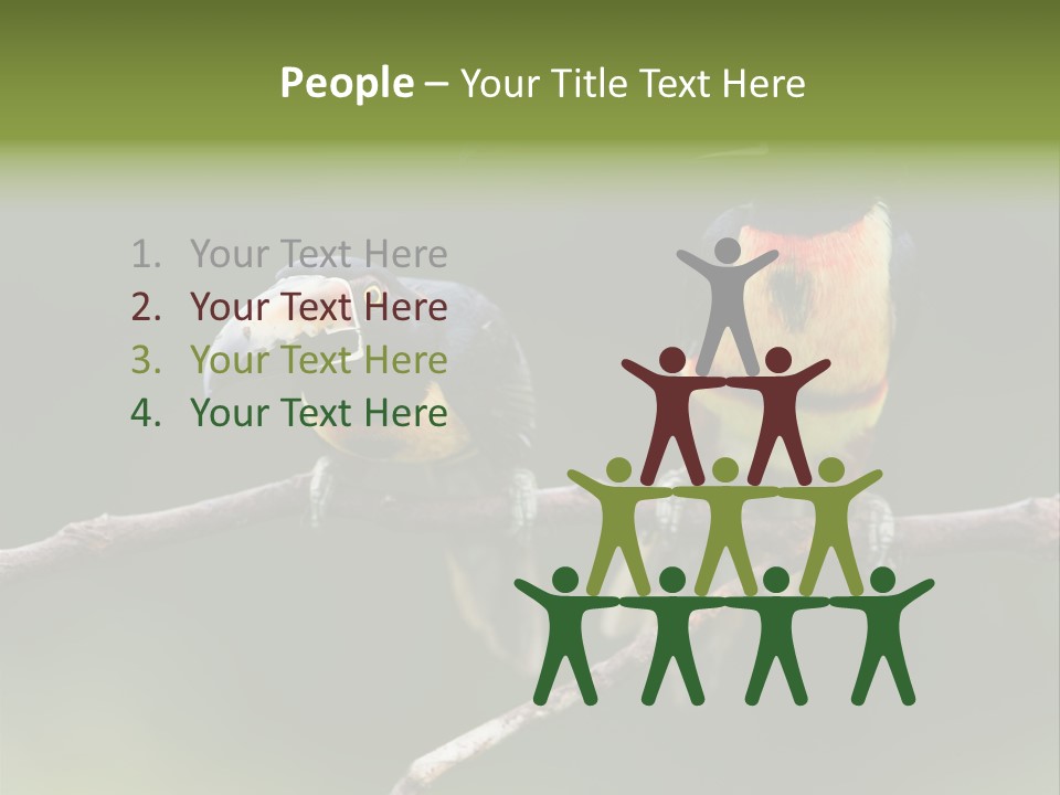 A Couple Of Birds Sitting On Top Of A Tree Branch PowerPoint Template