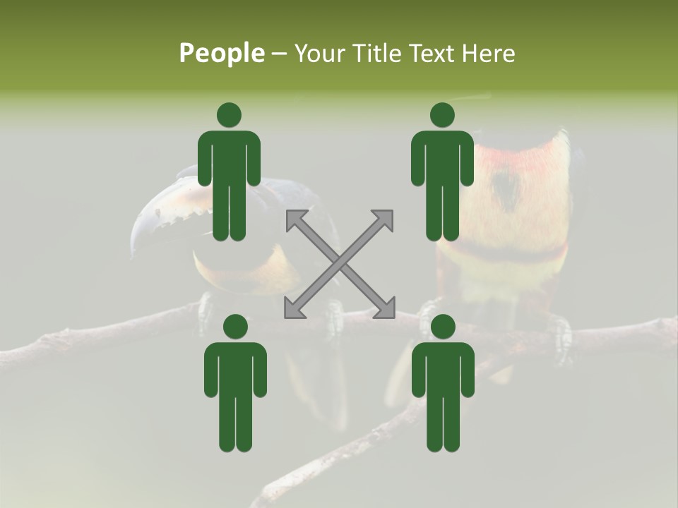 A Couple Of Birds Sitting On Top Of A Tree Branch PowerPoint Template