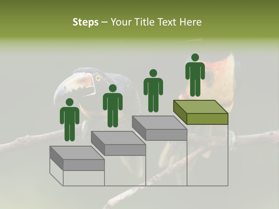 A Couple Of Birds Sitting On Top Of A Tree Branch PowerPoint Template