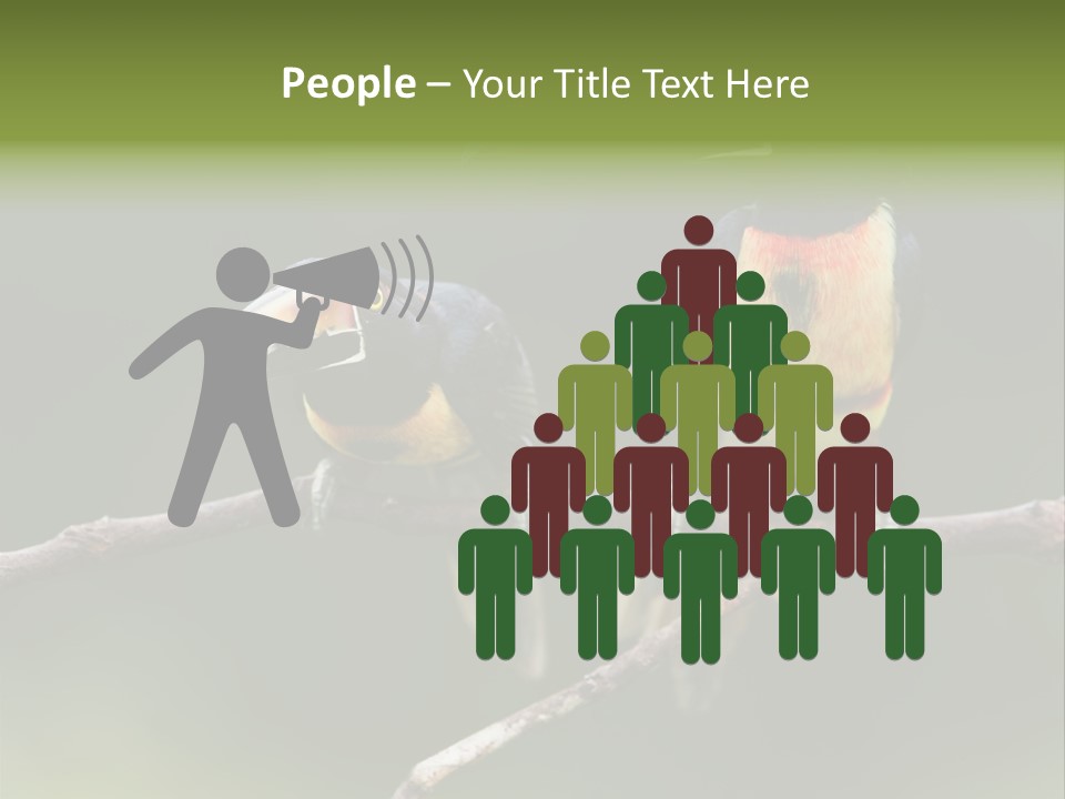 A Couple Of Birds Sitting On Top Of A Tree Branch PowerPoint Template