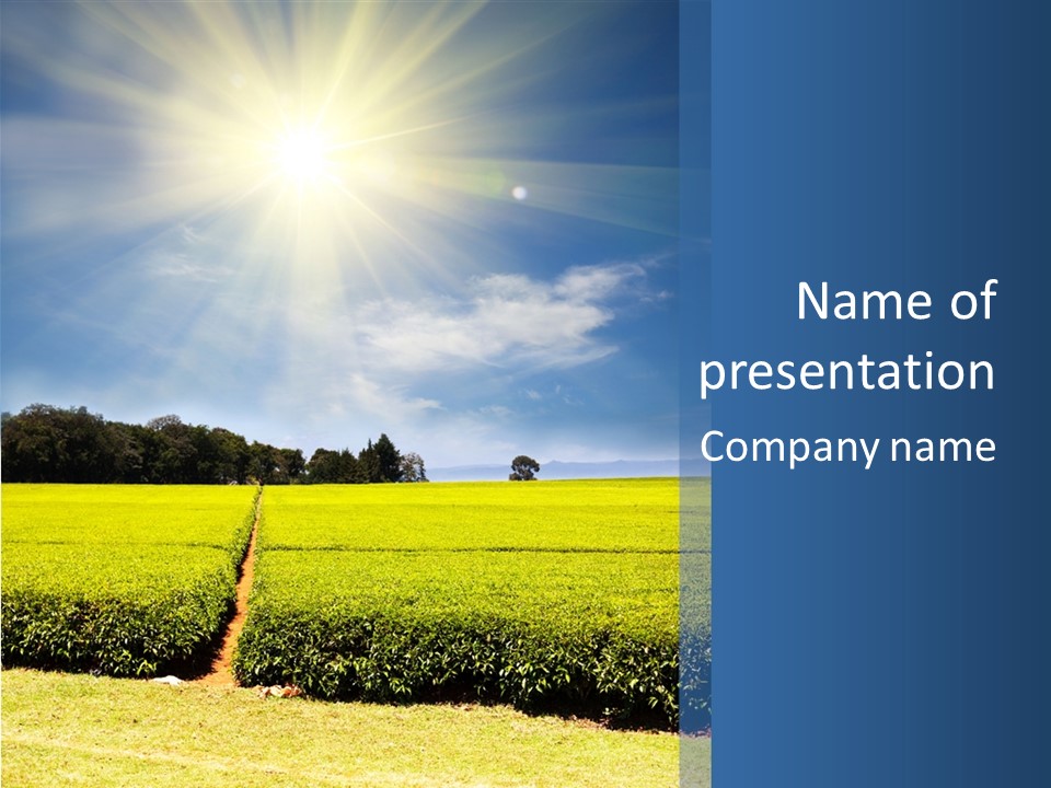 Farm Countryside Plantation PowerPoint Template