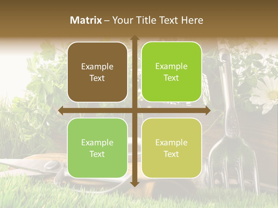 Closeup Abstract Stem PowerPoint Template
