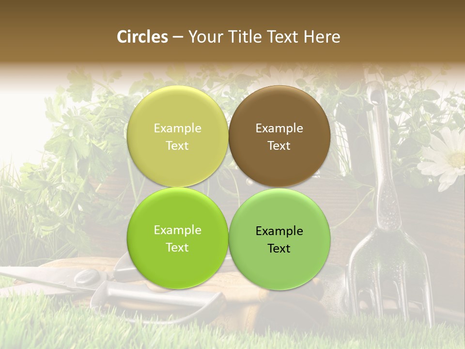 Closeup Abstract Stem PowerPoint Template