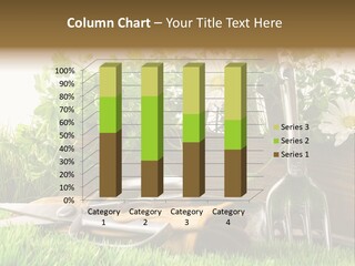 Closeup Abstract Stem PowerPoint Template