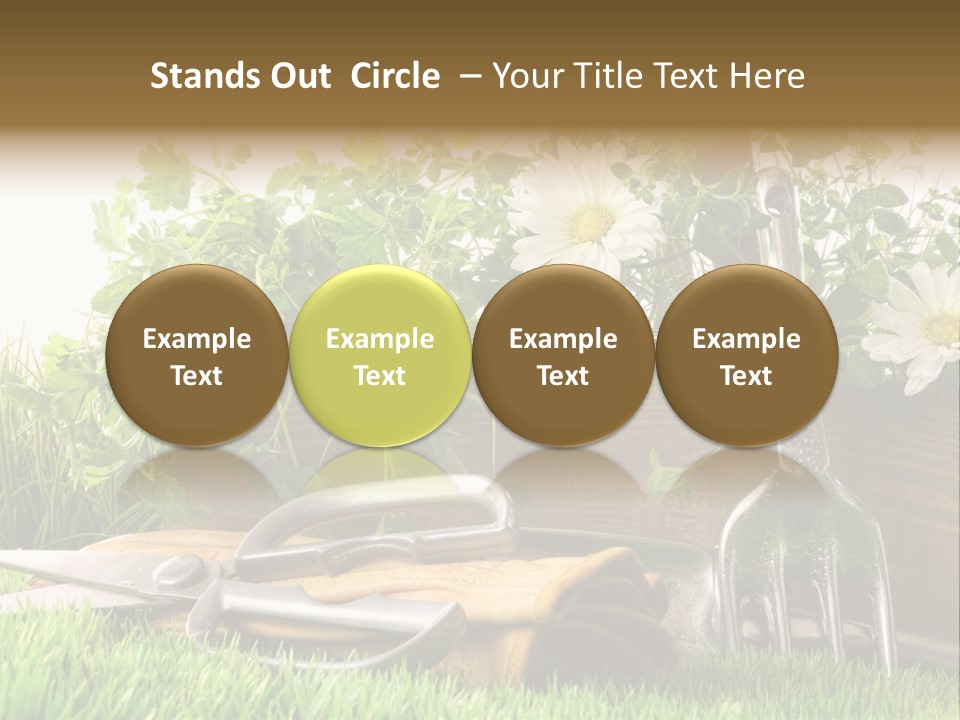 Closeup Abstract Stem PowerPoint Template