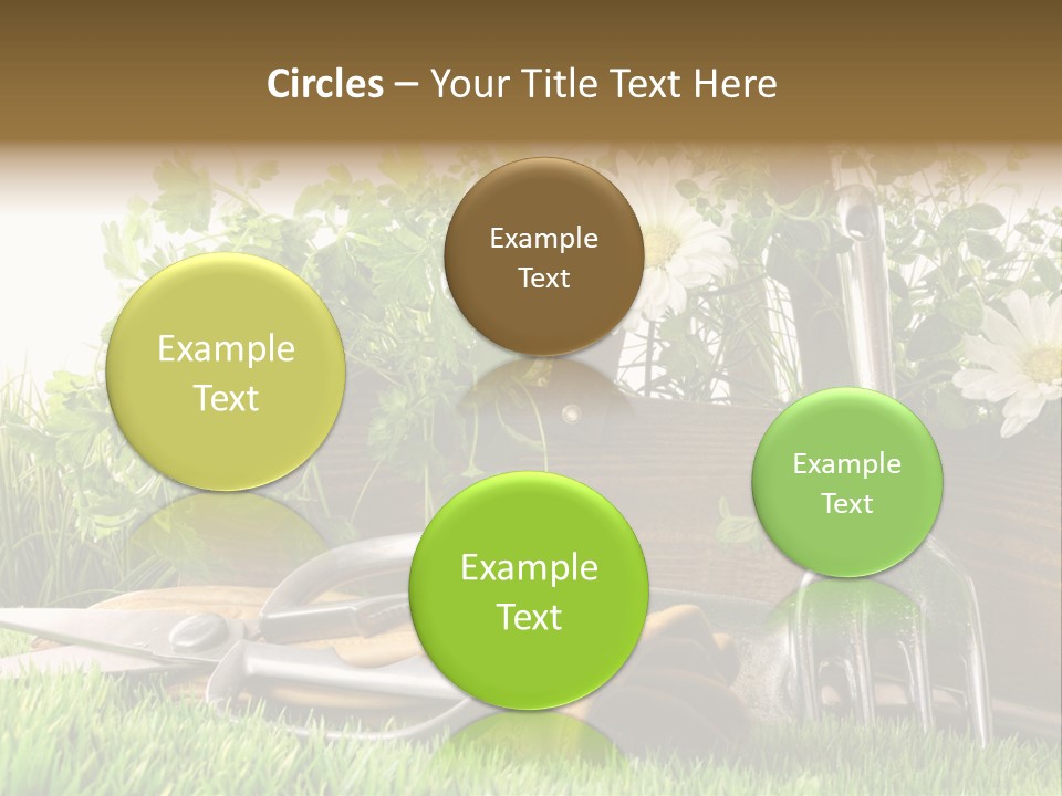 Closeup Abstract Stem PowerPoint Template