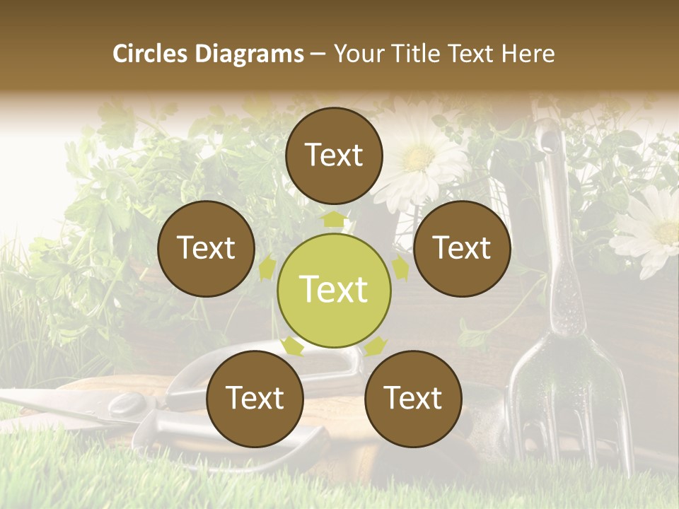 Closeup Abstract Stem PowerPoint Template