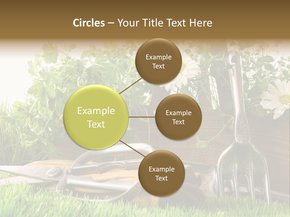 Closeup Abstract Stem PowerPoint Template