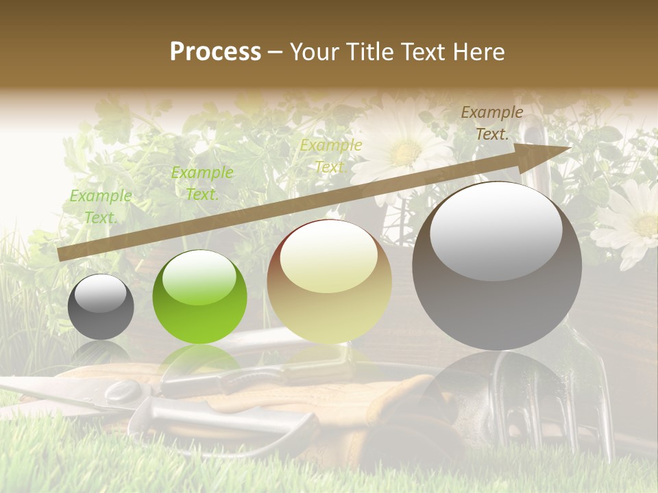 Closeup Abstract Stem PowerPoint Template