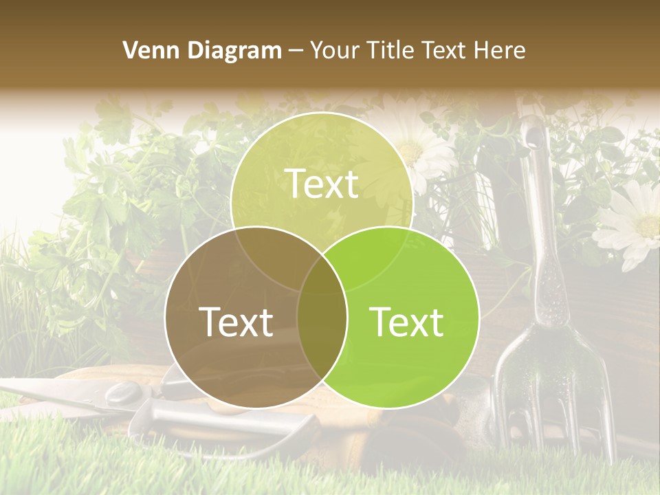 Closeup Abstract Stem PowerPoint Template