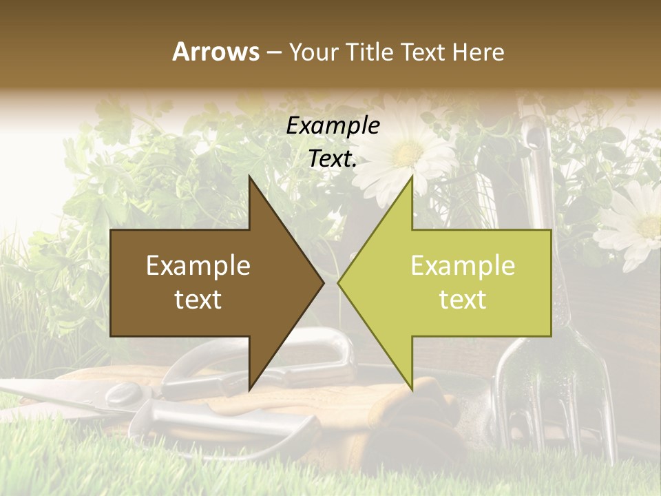 Closeup Abstract Stem PowerPoint Template