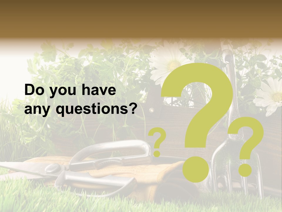 Closeup Abstract Stem PowerPoint Template