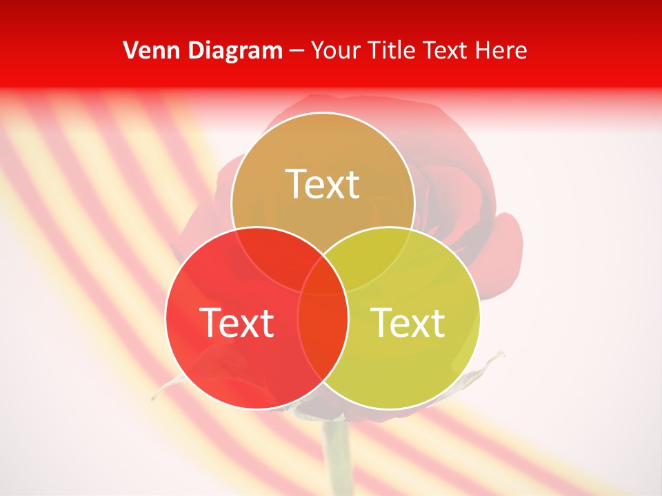 San Four Tradition PowerPoint Template