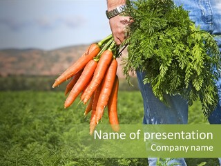Plant  Agriculture PowerPoint Template