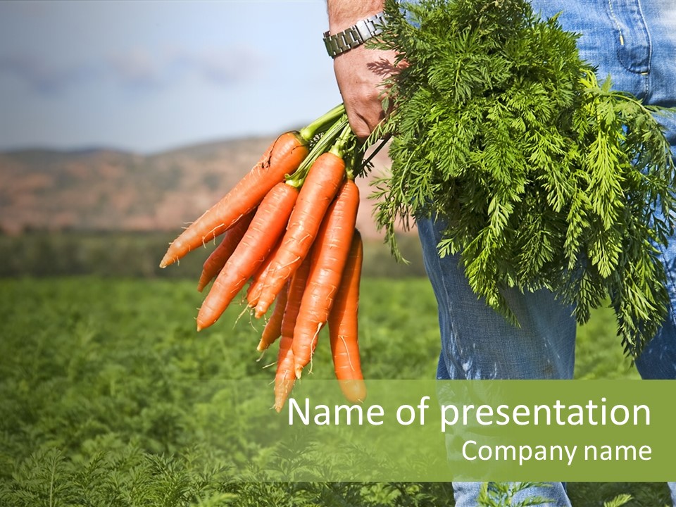 Plant  Agriculture PowerPoint Template